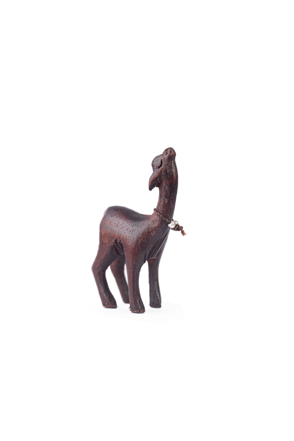 Vicuna Corporativa