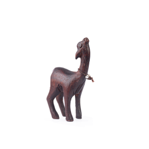 Vicuna Corporativa