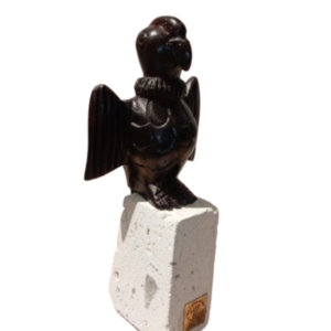 Condorcito Minimalista